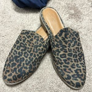 Leopard Shoes